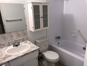 Brandon apartment for rent - a bathroom with a sink toilet and a bath tub