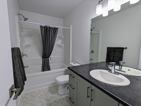 Brandon apartment for rent - Main Bathroom
