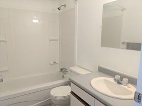 Brandon apartment for rent - a bathroom with a sink toilet and bath tub