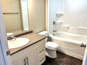 Brandon apartment for rent - a bathroom with a sink toilet and a bath tub