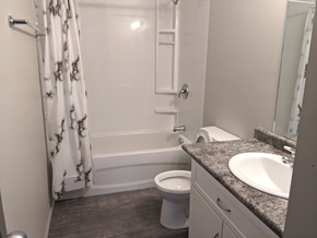 Brandon apartment for rent - a small bathroom with a shower toilet and sink