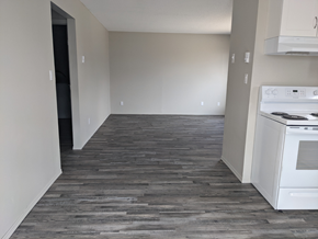 Brandon apartment for rent - an empty kitchen with white appliances and a wood floor