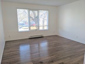 Brandon apartment for rent - an empty living room with wood floors and a window