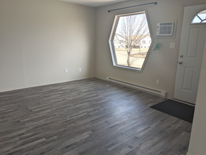 Brandon apartment for rent - an empty living room with wood floors and a window