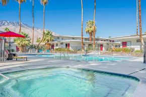 Palm Springs apartment for rent - a swimming pool with palm trees and a building in the background