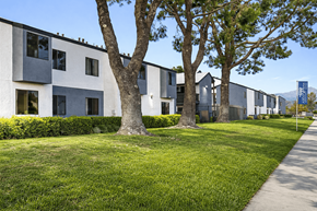 San Bernardino apartment for rent - A row of modern houses with trees in front.