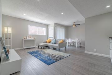 Palm Springs apartment for rent - a living room with a couch and a rug