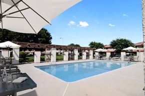 Madera apartment for rent - A pool surrounded by white umbrellas and chairs.