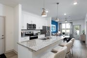 Palm Bay apartment for rent - an open kitchen and living room with a granite counter top