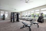 Palm Bay apartment for rent - the gym at the preserve apartments