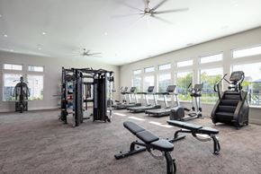 Palm Bay apartment for rent - the gym at the preserve apartments