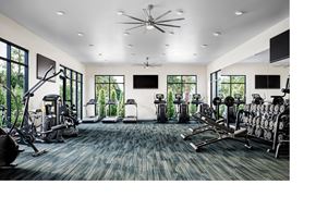 St. Augustine apartment for rent - a gym with cardio machines and televisions
