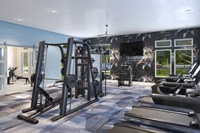Daytona Beach apartment for rent - a gym with treadmills and weights in front of a wall with a tv