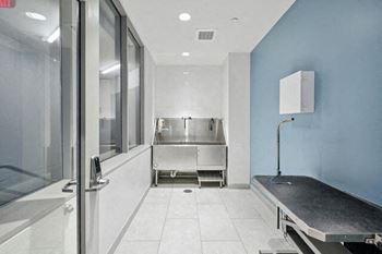 Pet wash