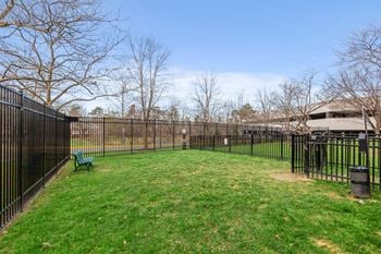Dog park