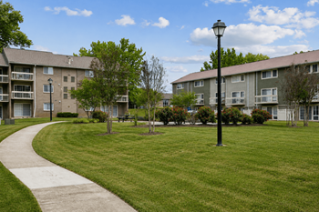Curved walking path through landscaped courtyard