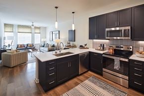 Greenbelt apartment for rent - Dark charcoal Shaker-style cabinetry in kitchen living room