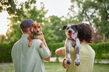 Pet friendly community