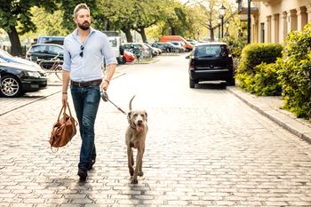 Man and dog