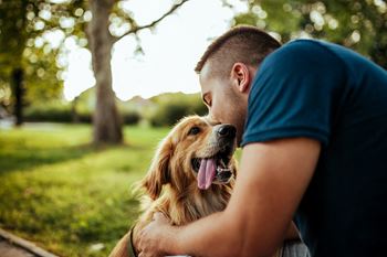 Pet friendly