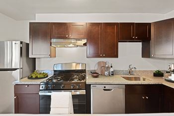 Amazing kitchens with modern appliances