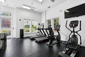Columbia apartment for rent - naturally lit fitness center with gym equipment  at Poplar Glen Apartments, Columbia, MD, 21044.