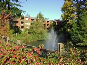 Lake and forest views