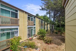 Newport apartment for rent - A view of a balcony with a railing and a small garden in front of a yellow building.