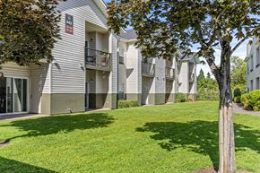 Salem apartment for rent - A tree stands in a grassy area in front of apartment buildings.