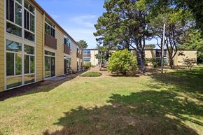 Newport apartment for rent - A sunny day at a grassy courtyard surrounded by buildings.