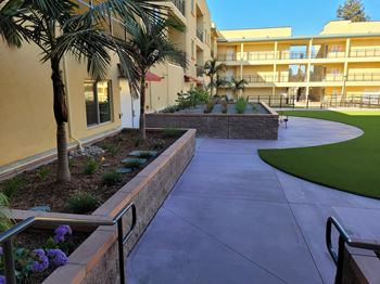 Beautiful garden courtyards