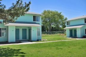 Meridian apartment for rent - the homes are painted in blue and turquoise with a lawn and trees