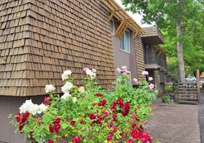 Beaverton apartment for rent - the outside of a cabin with flowers in front of it