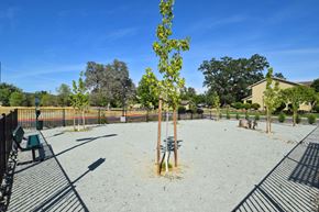 Penn Valley apartment for rent - a park with trees and a bench in front of a fence