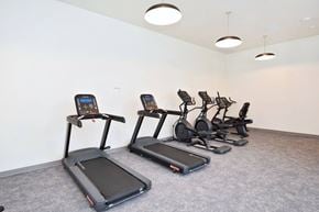Burlingame apartment for rent - the gym at the monarch apartments in des plaines