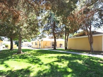 Ontario apartment for rent - A tree-lined pathway leads to a yellow building.
