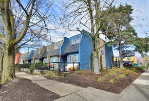 Portland apartment for rent - 20th and Brooklyn  a row of blue houses with trees in front of them