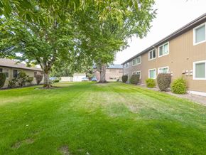 Albany apartment for rent - our apartments have a spacious yard with green grass and trees