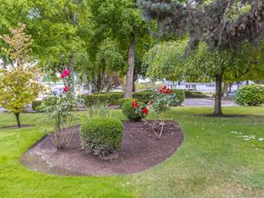 Albany apartment for rent - a park with trees and flowers in the grass