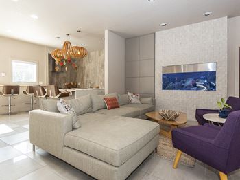 Saltwater aquarium in the clubhouse