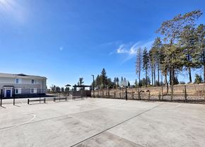 Paradise apartment for rent - the spacious basketball court at the enclave at university heights apartments fl