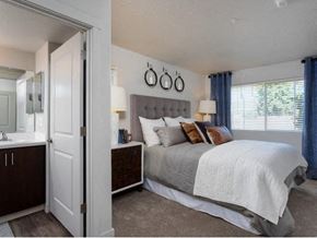 Portland apartment for rent - Bethany Bedroom