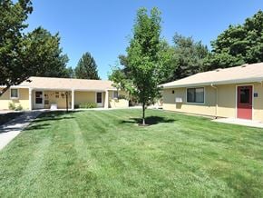 Ontario apartment for rent - A tree stands in the middle of a grassy area between two houses.