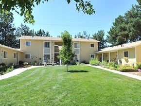 Ontario apartment for rent - A tree stands in the middle of a grassy courtyard between two apartment buildings.