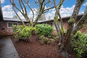 Milwaukie apartment for rent - a yard with trees and bushes in front of a brick house