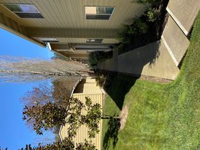 Tigard apartment for rent - Wellington Estates walkway