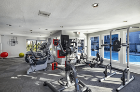Tampa apartment for rent - A well-equipped gym with a variety of exercise machines and a view of the pool outside.