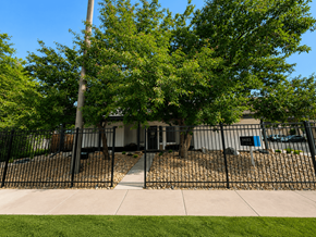 Colorado Springs apartment for rent - A black metal fence surrounds a building with a tree in front.