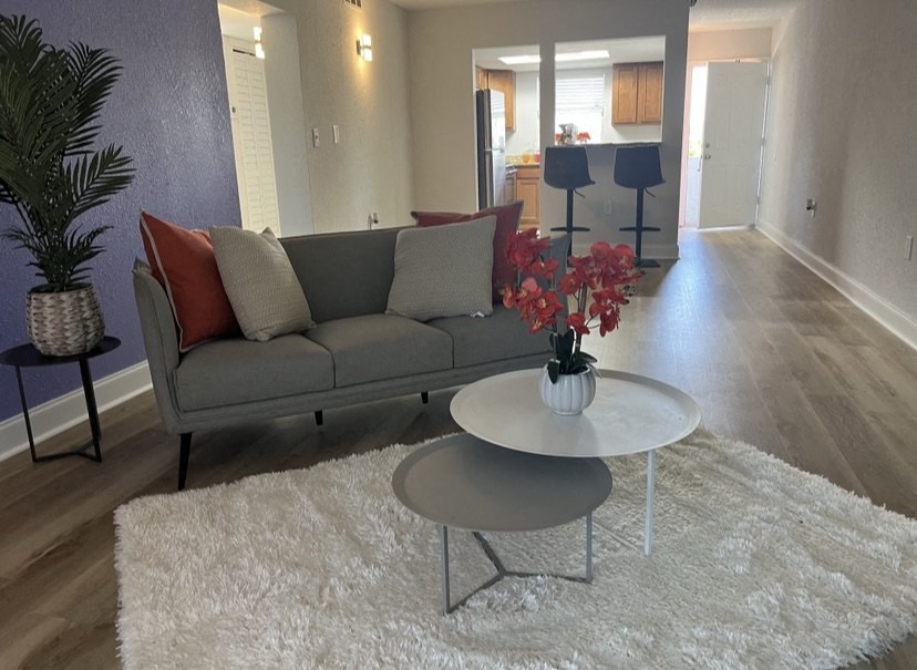 Coral Key - apartments for rent in Werner-Boyce Salt Springs, Port ...
