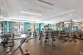 Davie apartment for rent - the gym at parc3400